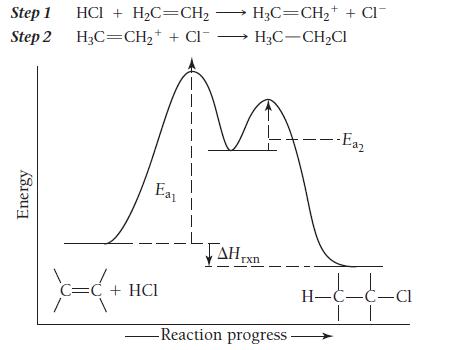 Step 1 Step 2 Energy HCI + HC=CH H3C=CH+ + CI Ea C=C + HCI 11 HC=CH + CI HC-CHCl TAHTxn -Reaction progress.