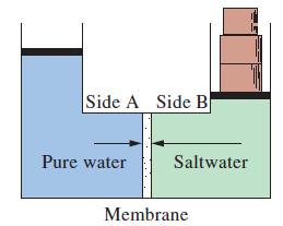 Side A Side B Pure water Saltwater Membrane