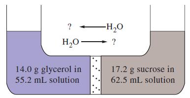 ? HO- 14.0 g glycerol in 55.2 mL solution -HO ? 17.2 g sucrose in 62.5 mL solution