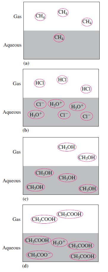 Gas Aqueous Gas Aqueous Gas Aqueous Gas Aqueous (a) (b) CH4 (HCI (d) HO CH3OH CHOH CI-HO+ CHCOOH CH3COOH