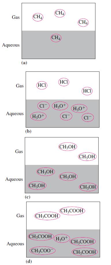 Gas Aqueous (a) Gas Aqueous Gas Aqueous (b) Aqueous (c) CHA (HCI) CI HO+ CHOH (d) CHOH CHA Gas CH3COOH