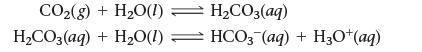 CO(g) + HO (1) + HO(1) HCO3(aq) HCO3(aq) HCO3 (aq) + H3O+(aq)