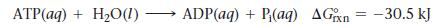 ATP(aq) + HO (1) ADP(aq) + P(aq) AGxn=-30.5 kJ