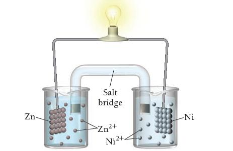 Zn- Salt bridge >Zn+ 2+ Ni2+. -Ni