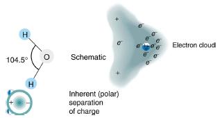 H 104.5 H O Schematic Inherent (polar) separation of charge e e ee ee aa Electron cloud