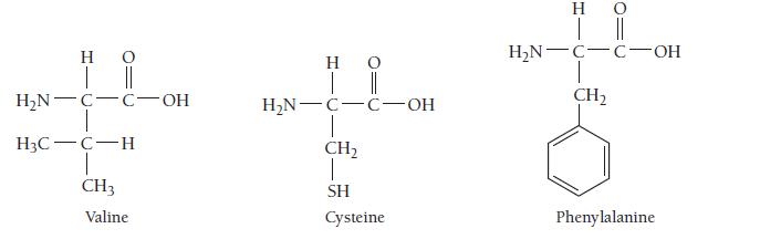 H | || HN-C-C-OH H3C-C-H CH3 Valine   | || HN-C-C-OH 1 CH 1 SH Cysteine H | || HN-C-C-OH CH Phenylalanine
