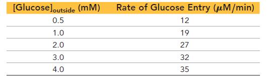 [Glucose]outside (mm) 0.5 1.0 2.0 3.0 4.0 Rate of Glucose Entry (M/min) 12 19 27 32 35