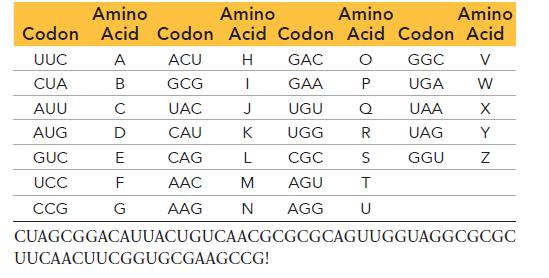 Amino Amino Amino Amino Codon Acid Codon Acid Codon Acid Codon Acid UUC ACU H GAC O GGC V CUA GCG T GAA P UGA