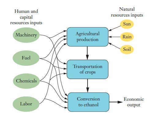 Human and capital resources inputs Machinery Fuel Chemicals Labor Agricultural production Transportation of