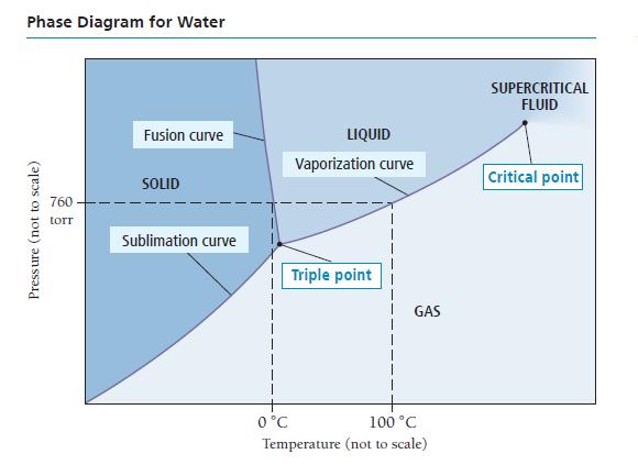 Phase Diagram for Water Pressure (not to scale) 760 torr Fusion curve SOLID Sublimation curve LIQUID