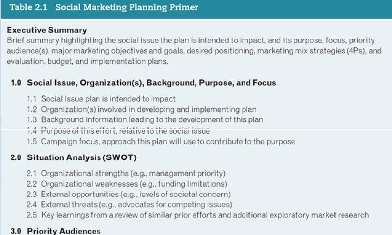 Table 2.1 Social Marketing Planning Primer Executive Summary Brief summary highlighting the social issue the