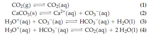 CO2(g)  CO2(aq) (1) CaCO3(s) Ca+ (aq) + CO3(aq) (2) H3O+ (aq) + CO3(aq)  HCO3(aq) + HO(1) (3) H3O+ (aq) +
