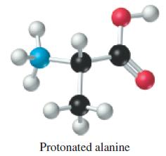 Protonated alanine