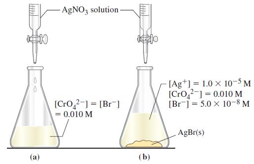 -AgNO3 solution- [CrO2] = [Br] = 0.010 M 10 (b) [Ag+] 1.0 x 10-5 M [CrO2] = 0.010 M [Br] 5.0 x 10-8 M AgBr(s)