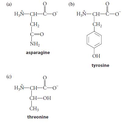 (a) (c) O HN-CH-C-O CH C=O NH asparagine HN-CH-C-O T CH-OH L CH3 threonine (b) O HN-CH-C-O CH OH tyrosine