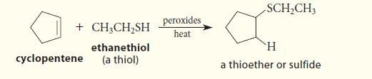 + CH3CHSH ethanethiol (a thiol) cyclopentene peroxides heat SCHCH3 H a thioether or sulfide