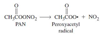 O CH3COONO2 PAN CH3COO+NO Peroxyacetyl radical