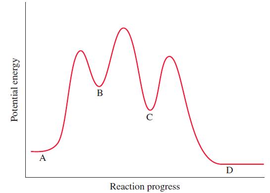 Potential energy A B C Reaction progress D