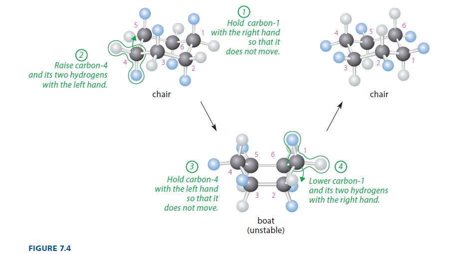 Raise carbon-4 and its two hydrogens with the left hand. FIGURE 7.4 5 chair Hold carbon-1 1 with the right