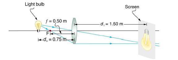 Light bulb f = 0,50 m F d, = 0.75 m- -d, 1.50 m- = Screen