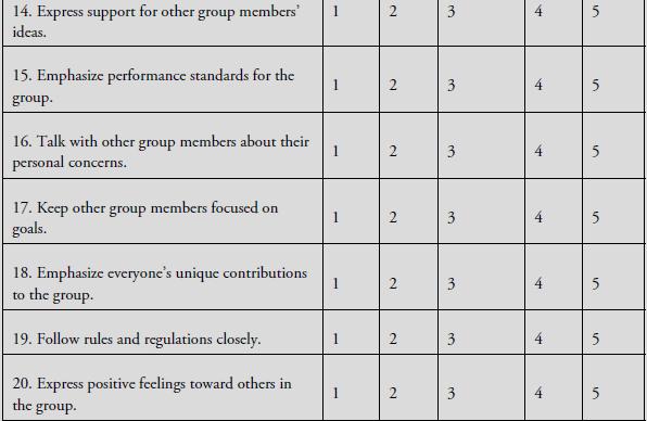 14. Express support for other group members' ideas. 15. Emphasize performance standards for the group. 16.