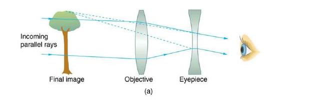 IN Final image Objective Incoming parallel rays (a) Eyepiece