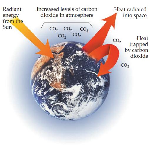 Radiant energy from the Sun Increased levels of carbon dioxide in atmosphere CO CO CO CO CO Heat radiated