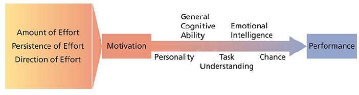 Amount of Effort Persistence of Effort Direction of Effort Motivation General Cognitive Emotional Ability