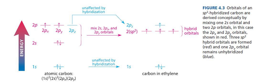 ENERGY 2p  2s  2px 2py  1s 2Pz atomic carbon: (1s)(2s)(2px) (2py) unaffected by hybridization mix 2s, 2px,