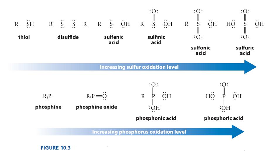 R-SH thiol RSSR_RSH disulfide RP: phosphine FIGURE 10.3 sulfenic acid :O: RP= phosphine oxide R-S-OH sulfinic