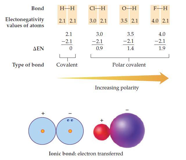 Bond Electonegativity values of atoms  Type of bond + H-H 2.1 2.1 2.1 -2.1 0 Covalent CI-H 3.0 2.1 3.0 -2.1