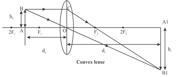 h 2F A F d d Convex lense 2F Al h, B1