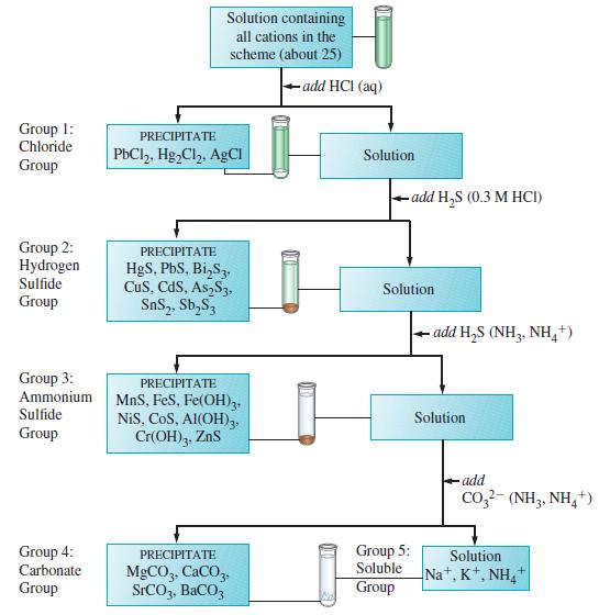 Group 1: Chloride Group Group 2: Hydrogen Sulfide Group Group 3: Ammonium Sulfide Group Group 4: Carbonate