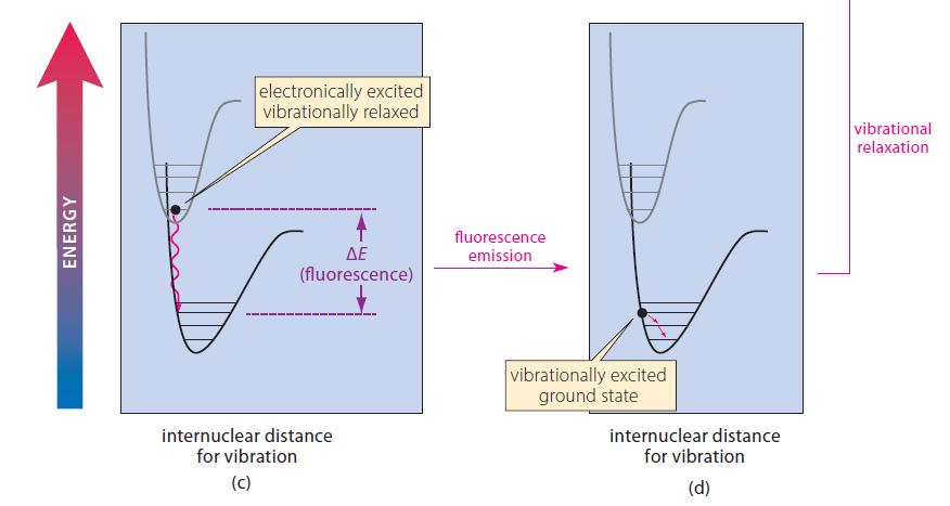 ENERGY -- electronically excited vibrationally relaxed  (fluorescence) internuclear distance for vibration