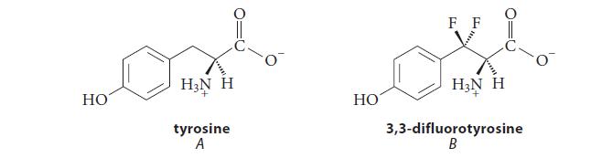HO HN H tyrosine A HO F F HN H 3,3-difluorotyrosine B