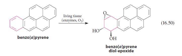 benzo[a]pyrene living tissue (enzymes, O) HO" OH benzo[a]pyrene diol-epoxide (16.50)