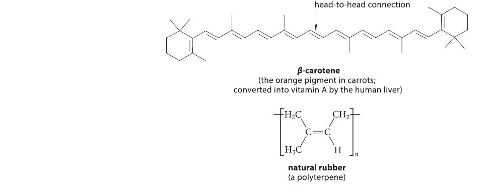 head-to-head connection Jolly B-carotene (the orange pigment in carrots; converted into vitamin A by the
