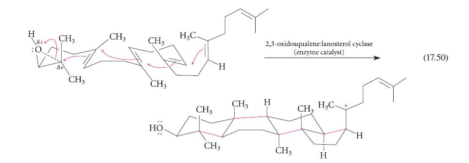 H \8+ :0 CH3 CH 3 CH3 CH3 CH3 HO. HC- CH3 H CH3 CH3 2,3-oxidosqualene:lanosterol cyclase (enzyme catalyst) H