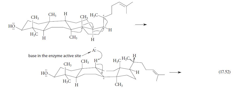 HO .. CH3 H C  CH3 H HO CH3 base in the enzyme active site- CH3 H3C CH3 H H3C- H CH, H HCHC CH3  (17.52)