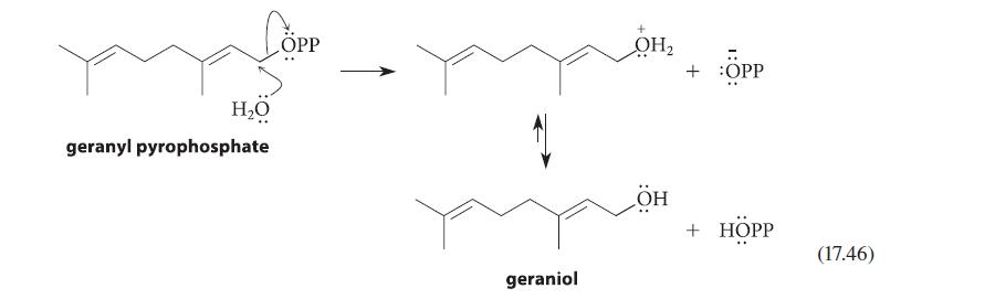 HO geranyl pyrophosphate PP geraniol OH H :OPP + HPP (17.46)