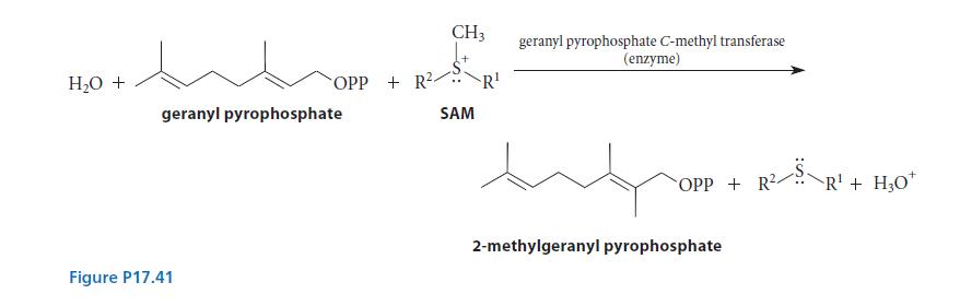 HO + WOPP geranyl pyrophosphate Figure P17.41 OPP+R. CH3 SAM R geranyl pyrophosphate C-methyl transferase