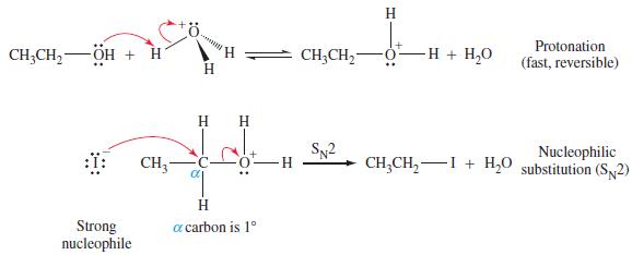 CH3CH- OH + H Strong nucleophile CH- H H  H H + a carbon is 1 -H CH3CH SN2 H + -H + HO Protonation (fast,