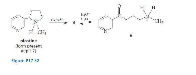 H CH3 nicotine (form present at pH 7) Figure P17.52 CyP450 A HO+ HO B H H CH3