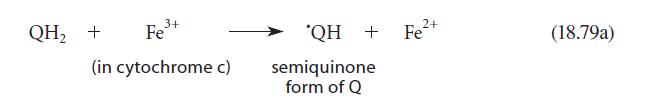 QH + 3+ Fe+ (in cytochrome c) 'QH + Fe+ semiquinone form of Q (18.79a)