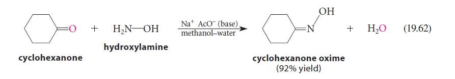 cyclohexanone + HN-OH hydroxylamine Na AcO (base). methanol-water N OH cyclohexanone oxime (92% yield) + HO