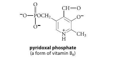 O -O-POCH. 0- CH=O IZ+ H pyridoxal phosphate (a form of vitamin B6) CH3
