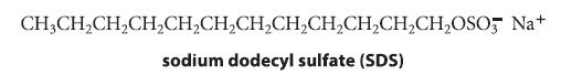 CH3CHCHCHCHCHCHCHCHCHCHCHOSO, Na+ sodium dodecyl sulfate (SDS)