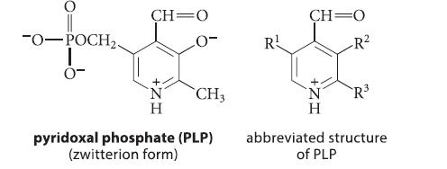 -O-POCH. 0- CH O 0- CH3 pyridoxal phosphate (PLP) (zwitterion form) R CH O IZ+ R abbreviated structure of PLP