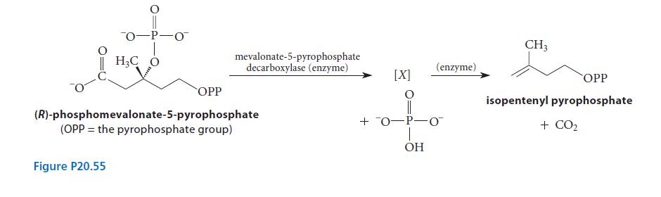 HC Figure P20.55 -P-O MO SOPP mevalonate-5-pyrophosphate decarboxylase (enzyme)