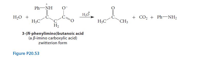 HO + PhNH || HC + HO H 3-(N-phenylimino)butanoic acid (a -imino carboxylic acid) zwitterion form Figure